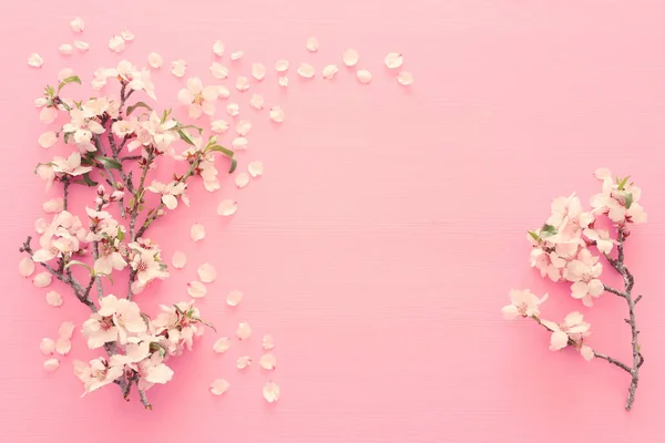 Фото весеннего белого цветущего вишни на пастельно-розовом деревянном фоне. Вид сверху, плоская кладка — стоковое фото