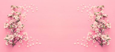 pastel pembe ahşap arka plan ağaç bahar beyaz kiraz çiçeği fotoğrafı. Yukarıdan görüntülemek, yat