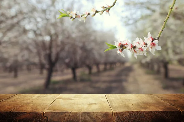 Деревянный стол перед весенним цветущим пейзажем деревьев. Отображение и презентация продукции — стоковое фото