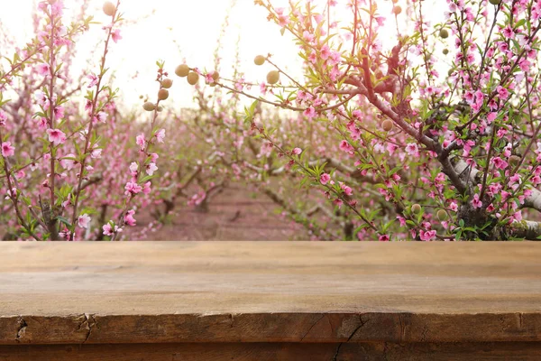 Träbord framför vårblommande trädlandskap. Produktvisning och presentation — Stockfoto