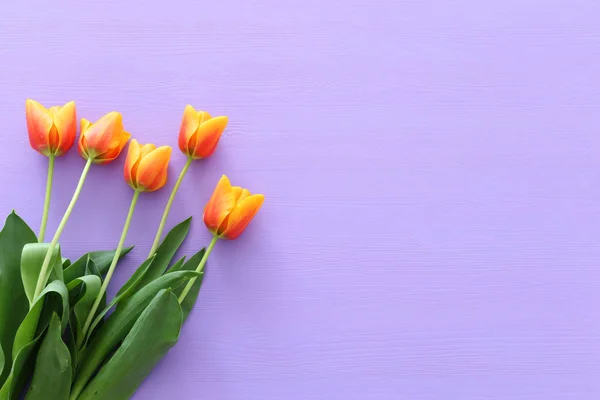 Букет апельсиновых тюльпанов на пастельно-фиолетовом фоне. Вид сверху. banner — стоковое фото