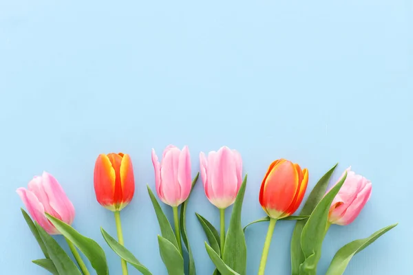 Bouquet of orange and pink tulips over pastel blue wooden background. Top view — Stock Photo, Image