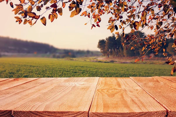 Leerer rustikaler Tisch vor ländlichem Hintergrund. Produktpräsentation und Picknickkonzept — Stockfoto