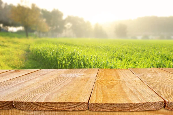 Empty rustic table in front of countryside background. product display and picnic concept — Stock Photo, Image