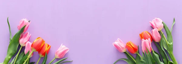 Bouquet of orange and pink tulips over pastel purple wooden background. Top view. banner — Stock Photo, Image