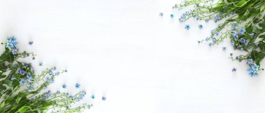 Beyaz ahşap zemin üzerinde mavi ve hassas mavi çiçekler buket bahar. Üstten Görünüm, düz yatıyordu