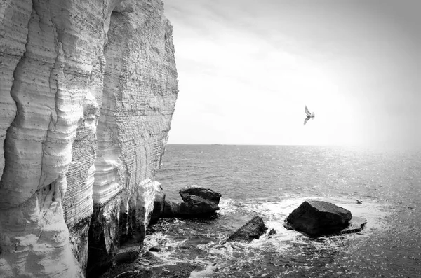 Морські хвилі розбиваються на каменях, чорно-білих тонах — стокове фото