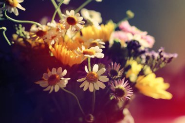 arka plan bahar güzel alan çiçekler. seçici odak