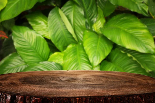 Trä bord framför tropiska gröna blommor bakgrund. för produktvisning och presentation. — Stockfoto