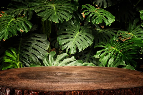 Trä bord framför tropiska gröna Monstera lämnar blommig bakgrund. för produktvisning och presentation. — Stockfoto