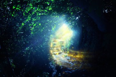 Mistik güneş ışığı ve ateş böceği ile büyülü ve gizemli karanlık ormanda yol ve taş merdivenler. Masal konsepti