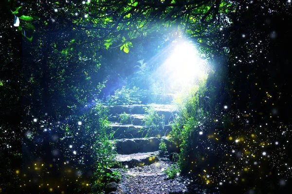 在神奇而神秘的黑暗森林中，道路和石头楼梯，有神秘的阳光和萤火虫。童话概念 — 图库照片
