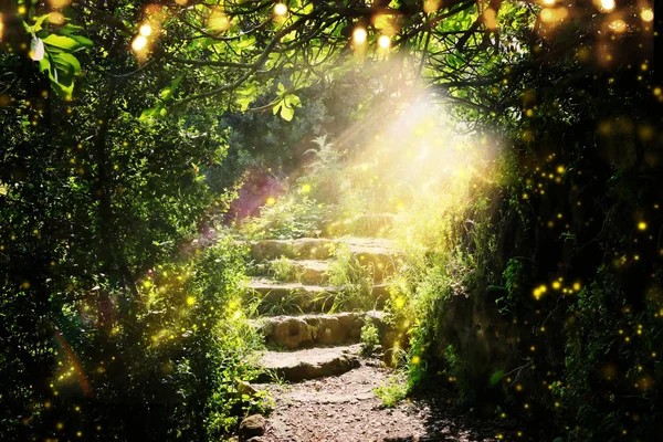Drogi i kamienne schody w magicznym i tajemniczym ciemnym lesie z mistycznym światłem słonecznym i świetlikiem. Koncepcja baśni — Zdjęcie stockowe