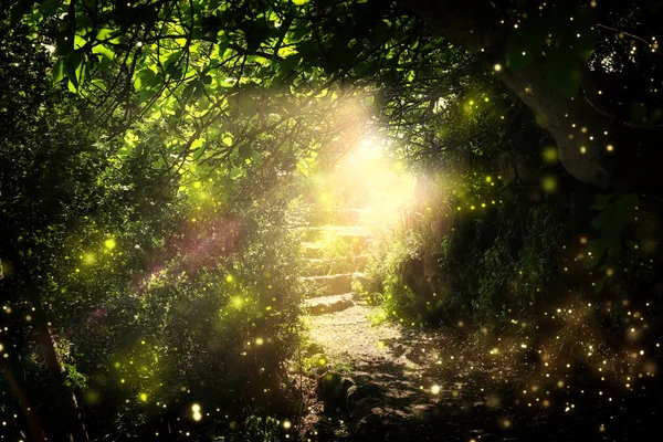 Дорога и каменные лестницы в волшебном и таинственном темном лесу с мистическим солнечным светом и светлячком. Концепция сказки — стоковое фото