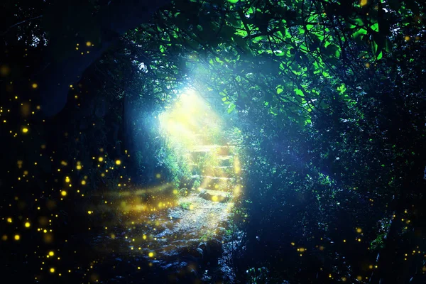 Road and stone stairs in magical and mysterious dark forest with