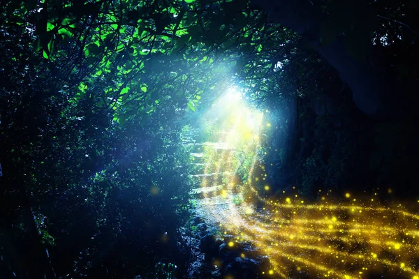 Straße und Steintreppen in magischen und geheimnisvollen dunklen Wald mit mystischem Sonnenlicht und Glühwürmchen. Märchenkonzept — Stockfoto