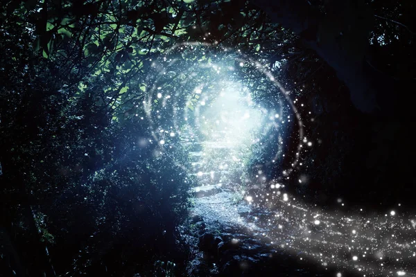 Escaleras de camino y piedra en un bosque oscuro mágico y misterioso con luz mística del sol y luciérnaga. Concepto de cuento de hadas — Foto de Stock
