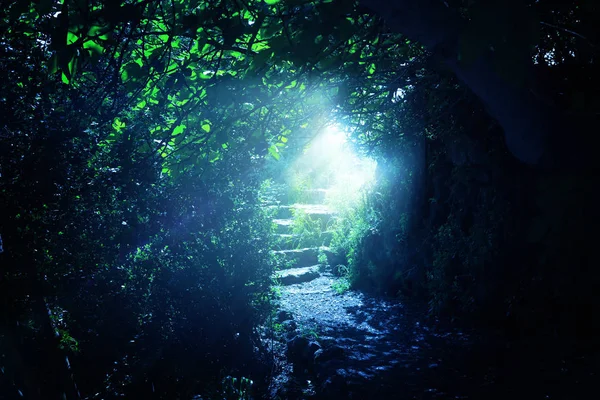 Drogi i kamienne schody w magicznym i tajemniczym ciemnym lesie z mistycznym światłem słonecznym. Koncepcja baśni — Zdjęcie stockowe