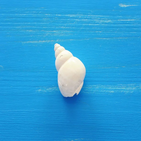 假期和夏季的概念与一个白色的贝壳在蓝色的木制背景。顶视图平面铺 — 图库照片