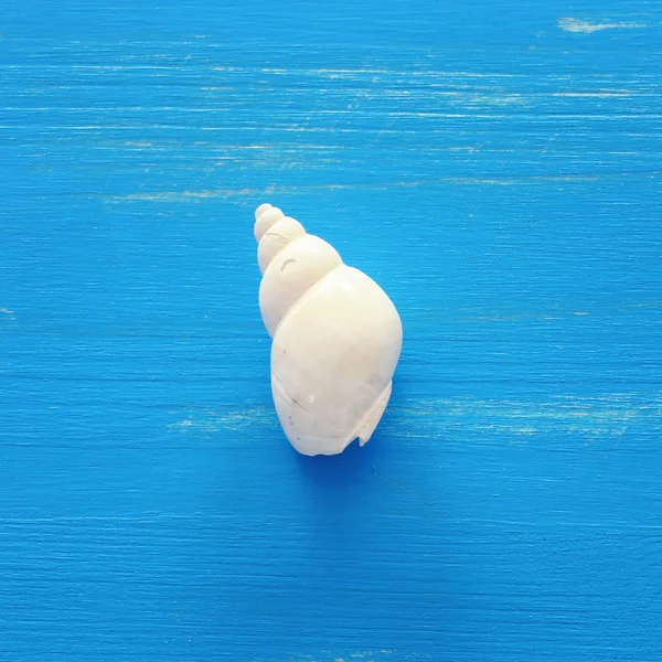 Concepto de vacaciones y verano con una concha blanca sobre fondo de madera azul. Vista superior plano laico —  Fotos de Stock