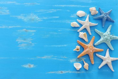 mavi ahşap arka plan üzerinde denizyıldızı ve deniz kabukları ile tatil ve yaz konsepti. Üst görünüm düz yatıyordu