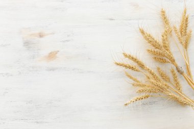 Beyaz ahşap zemin üzerinde buğday mahsullerinin üst görüntüsü. Yahudi bayramının sembolleri - Shavuot