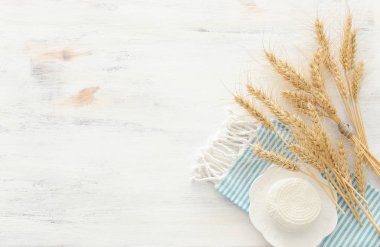 Süt ürünlerinin beyaz ahşap zemin üzerindeki en iyi görüntüsü. Yahudi bayramının sembolleri - Shavuot