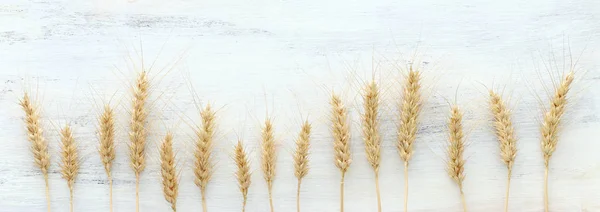 Beyaz ahşap zemin üzerinde buğday mahsullerinin üst görüntüsü. Yahudi bayramının sembolleri - Shavuot — Stok fotoğraf