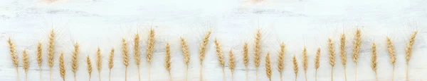 Ansicht von Weizenpflanzen über weißem Holzhintergrund. Symbole des jüdischen Feiertags - Shavuot — Stockfoto