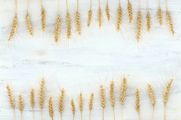 Ansicht von Weizenpflanzen über weißem Holzhintergrund. Symbole des jüdischen Feiertags - Shavuot — Stockfoto