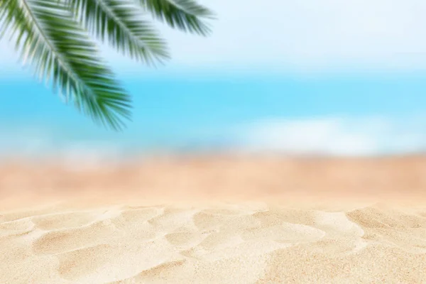 Leeg zandstrand in de voorkant van de zomer zee en palmboom achtergrond met kopieerruimte — Stockfoto