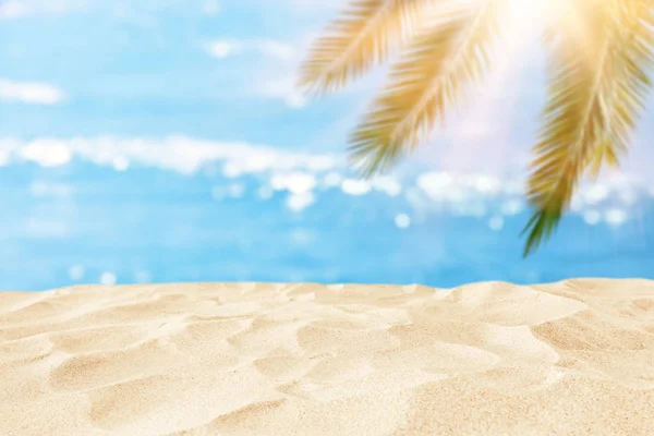 Yaz denizi önünde boş kum plaj ve kopya alanı ile palmiye ağacı arka plan — Stok fotoğraf