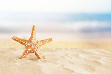 Tatil. kum plaj ve denizyıldızı yaz deniz backgro önünde