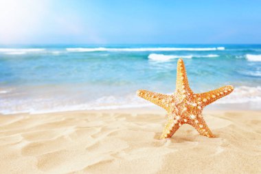 Tatil. kopya alanı ile yaz deniz arka plan önünde kum plaj ve denizyıldızı