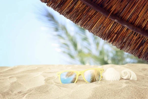 Tom sandstrand, snäckskal och solglasögon framför sommar havet bakgrund med kopia utrymme — Stockfoto