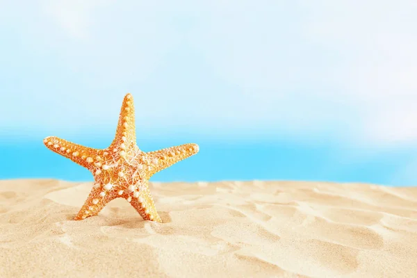 Semester. sandstrand och sjöstjärna framför sommar havet backgro — Stockfoto