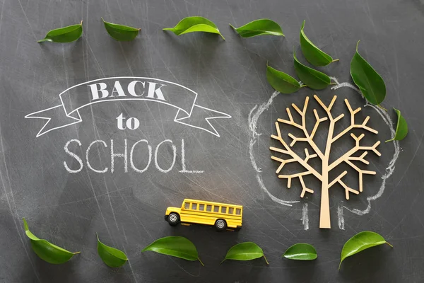 교육과 학교 개념으로 돌아갑니다. 교실 칠판 배경 위에 단풍나무 옆의 학교 버스의 상단보기 사진. 상단 보기, 플랫 레이 — 스톡 사진