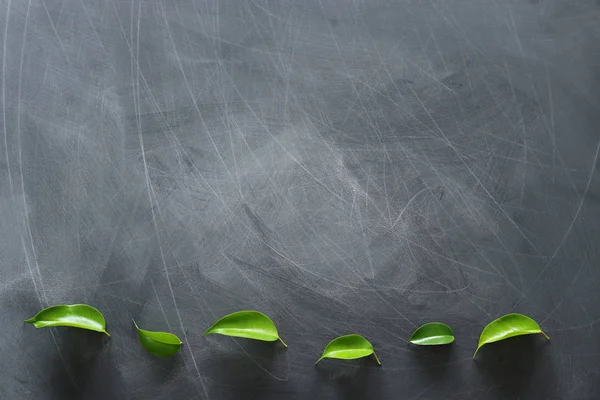 Koncepce vzdělávání a podnikání. Nápis-nejlepší pohled na zelené listí nad tabulkovou tapetu — Stock fotografie