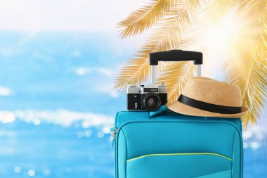 gezgin bagaj, kamera ve fedora şapka tropikal arka plan önünde rekreasyon görüntü. tatil ve tatil konsepti
