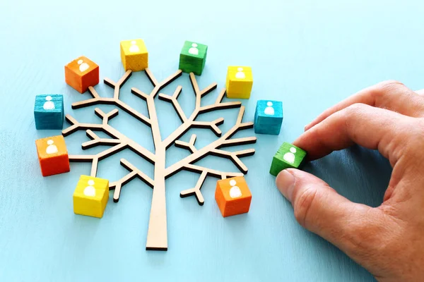 Immagine aziendale di albero di legno con le persone icone sopra tavolo blu, risorse umane e concetto di gestione — Foto Stock