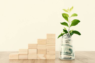 Tasarruf kavanozu, para yatırımı ve finansal büyüme konseptinde büyüyen bitkinin iş imajı
