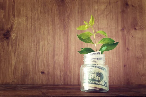 Business image of plant growing in savings jar, money investment and financial growth concept — Stock Photo, Image