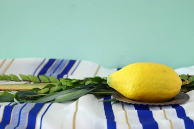 Sukkot Yahudi bayramı. Geleneksel Semboller (dört tür): Etrog, lulav, hadas, arava
