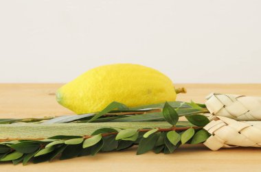 Sukkot Yahudi bayramı. Geleneksel Semboller (dört tür): Etrog, lulav, hadas, arava