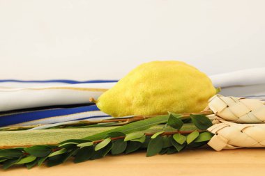 Sukkot Yahudi bayramı. Geleneksel Semboller (dört tür): Etrog, lulav, hadas, arava