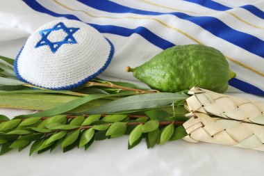 Sukkot Yahudi bayramı. Geleneksel Semboller (dört tür): Etrog, lulav, hadas, arava