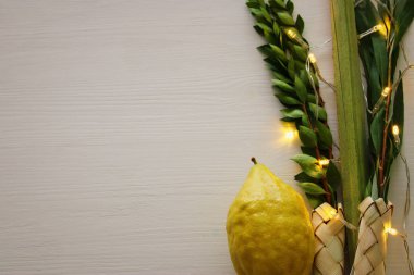Sukkot Yahudi bayramı. Geleneksel Semboller (dört tür): Etrog, lulav, hadas, arava
