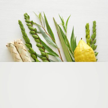 Sukkot Yahudi bayramı. Geleneksel Semboller (dört tür): Etrog, lulav, hadas, arava