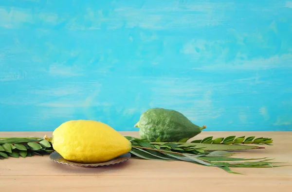 Sukkot Yahudi bayramı. Geleneksel Semboller (dört tür): Etrog, lulav, hadas, arava — Stok fotoğraf