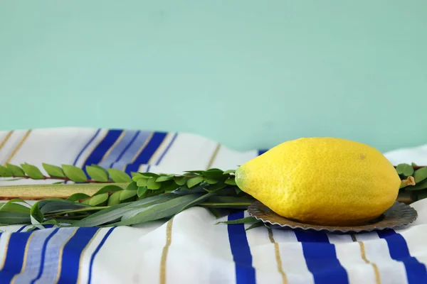 Sukkot Yahudi bayramı. Geleneksel Semboller (dört tür): Etrog, lulav, hadas, arava — Stok fotoğraf